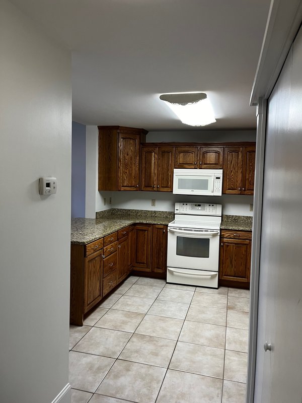 Megs Condo kitchen